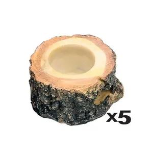 [콩심팥심]곤충 먹이접시 1구X5개 젤리그릇 먹이구 놀이목 사육