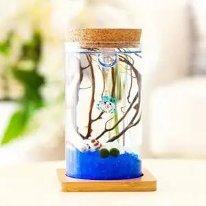 [하프클럽/]테라리움 코르크병 마리모 유리병 LED 키우기 마리모