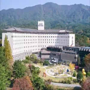 [경북 호텔] 경주 코오롱 호텔 (경주(보문단지,황리단길,불국사,양남,감포,안강))