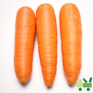 세척 당근 (2L) 20kg (중국산) (2상자)