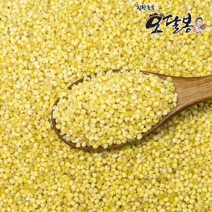 수입 찰기장 10kg