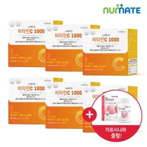 뉴메이트 비타민C 1000 (6박스/1200정)+일양 가르시니아 포함
