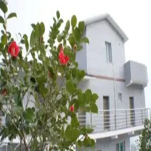 [전남 펜션] 진도 해오름펜션 (해남,완도,진도,강진,장흥,보성,고흥)