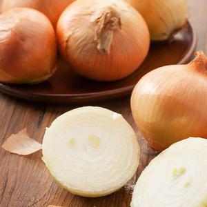무안 청정지역 게르마늄 햇 양파 5kg 중대