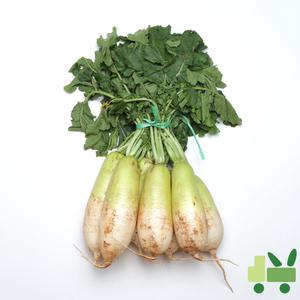 다발무 (2단) 14kg