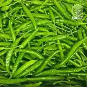 국내산 땡초 청양고추 대량 도매 식자재 10kg