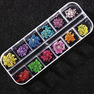 레진 공예 아트 재료 사상화 압화 드라이 플라워