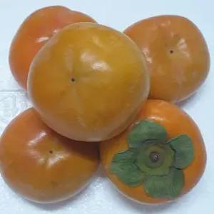 단감 아삭달콤  가정용 햇 단감 9kg 중과 (경남단감)