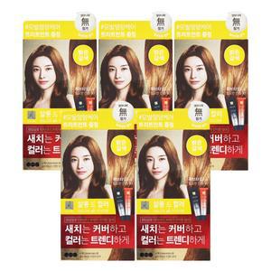 엘지 엘라스틴 염색약 살롱드컬러 밝은갈색 X 5개