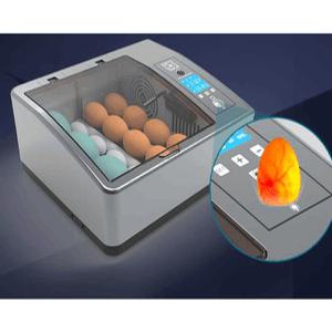 조류 병아리부화기 달걀부화기 계란 자동 전란 유정란
