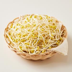 [마이프레시] 무농약 콩나물 1kg