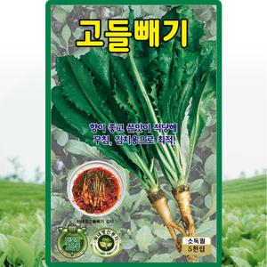 KS종묘 고들빼기 씨앗 5000립 고들빼기씨 종자