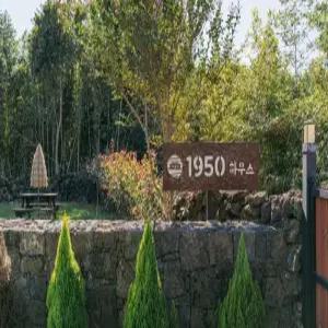 [제주 펜션] 제주 1950하우스 (함덕,김녕,세화)