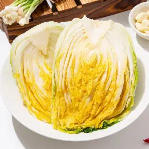 [지정일배송] 속이꽉찬 강원도 고랭지 절임배추 20kg (7-10포기)