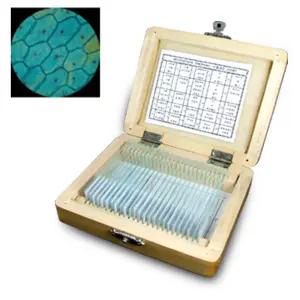 영구 프레파라트 양파표피 식물편 동물편 원형동물 선택 현미경 표본 관찰 혈구 과실험용