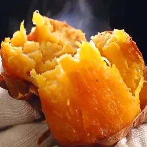 [G] 25년 햇 소리팜 해남 호박고구마 5kg (중상)