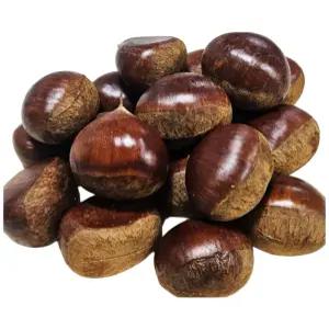 25년 햇 명품 국산 공주밤 1kg 출시 ( 칼집O/칼집X )