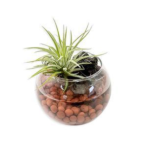 유치원 자연수업 이오난사 천연가습기만들기 클래스 세트 원데이