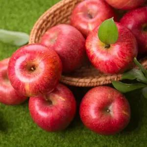 착한식탁 가정용 사과 10kg 꼬마소과