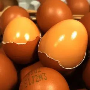 HACCP인증 촉촉한 구운계란 30구 x4판(120구) 대란