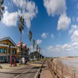 [제주] 제주애견동반 솔펜션(제주, 제주)