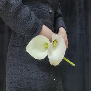 카라 꽃 카라부케 인터넷꽃도매시장 성화정기구독 양재꽃시장 생화 농장