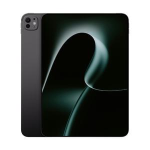 애플 아이패드 프로 13 7세대 M4 WiFi 256GB 블랙 MVX23KH/A S_B