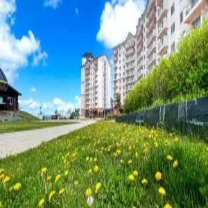 [강원] 오투 리조트(강원호텔/태백호텔/태백오투 리조트)