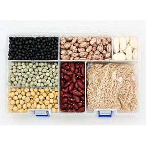 곡물상자 곡식마카라스 곡식관찰 재료상자 유치원 초등 활동 창작만들기 어린이용 초1