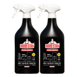 홈스타 욕실청소용 클리너 본품 750ml 2개