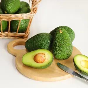 아보카도 최상급 생과 10과