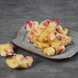 즙용 세척생강 5kg