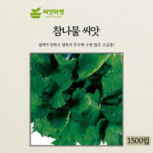 KS종묘 참나물 씨앗 1500립 엽색이 진한 생육 우수 미쯔바 우수 품종 종자