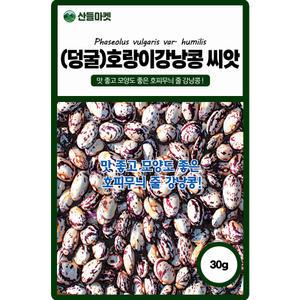산들마켓 호랑이 강낭콩씨앗 30g 덩굴성으로 초세가 강한 호피무늬 국내산 콩씨 종자