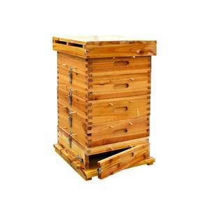 토종벌 꿀수확 채집 벌꿀 밀랍판 야생벌통 5단