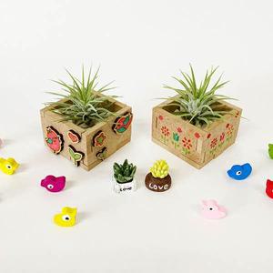 토단교재 이오난사 우드 미니화분 만들기(1인용)