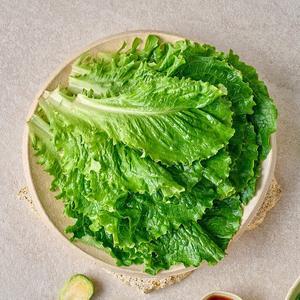 [자연진리]국내산 로메인 2kg내외