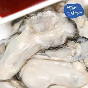 [남해바다]T_[남해바다] 국내산 생굴 2kg