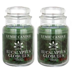 르미에 국산 아로마 캔들 프리미엄 향초 630g 2개_유칼립투스