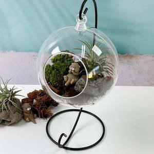 이오난사 투명 행잉 수달 쉼터 비바리움 만들기 키트 만들기세트 만들기재료 식물인테리어 취미생활