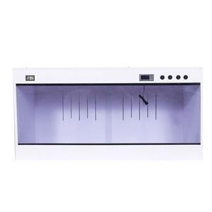 파충류 육지거북이 포맥스사육장 레오파드 자온조