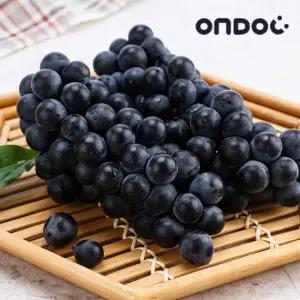 [온도씨] 새콤달콤 흑포도 캠벨포도 2kg (5-8수)