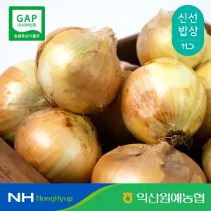 [익산원예농협] 국산 25년 햇 양파 특사이즈 5kg