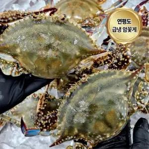 연평도 급냉 암꽃게 국내산 냉동꽃게 2kg (6-10미)