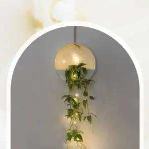 플라스틱 벽걸이 화분 심플 실내 저수분 플라워 디자인 (WFJPNB5)