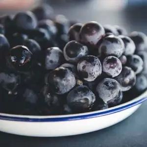 가을 제철 과일 진한단맛(14-16brix) 캠벨포도 1kg 2kg