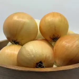 임실농협 25년산 가정용 햇양파 5kg