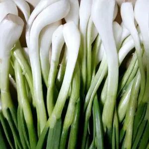 초록초록 팜 국내산 제철 당일 손질 깐쪽파 1kg 파김치용