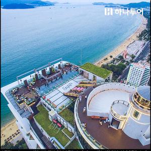 [혜택가 34만대][Live11] 나트랑 시내 5성호텔 5일 #하바나호텔 #오션뷰 #조식 #공항 호텔 픽업 #인천/청주/부산/대구出