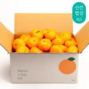 [깨비농원] 제주 조생감귤 3kg 로얄과